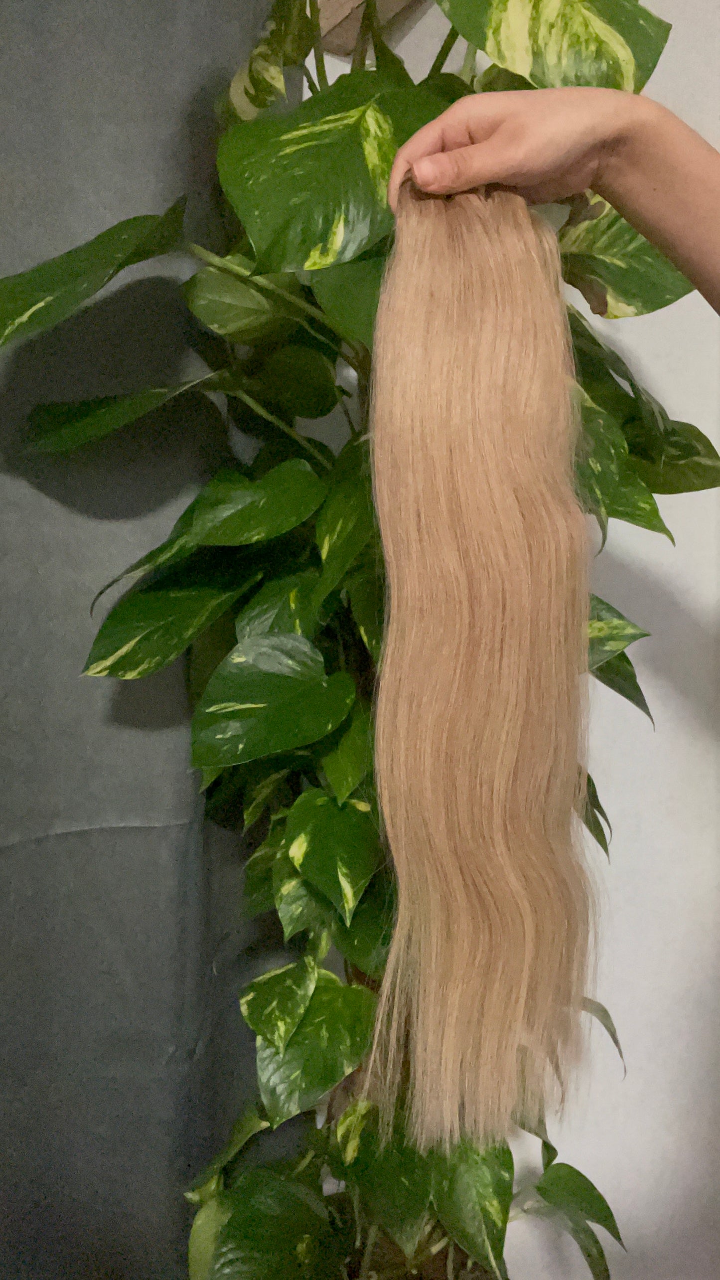 Remy Hair Extensions 100g, Color Arsch Blond, #18a