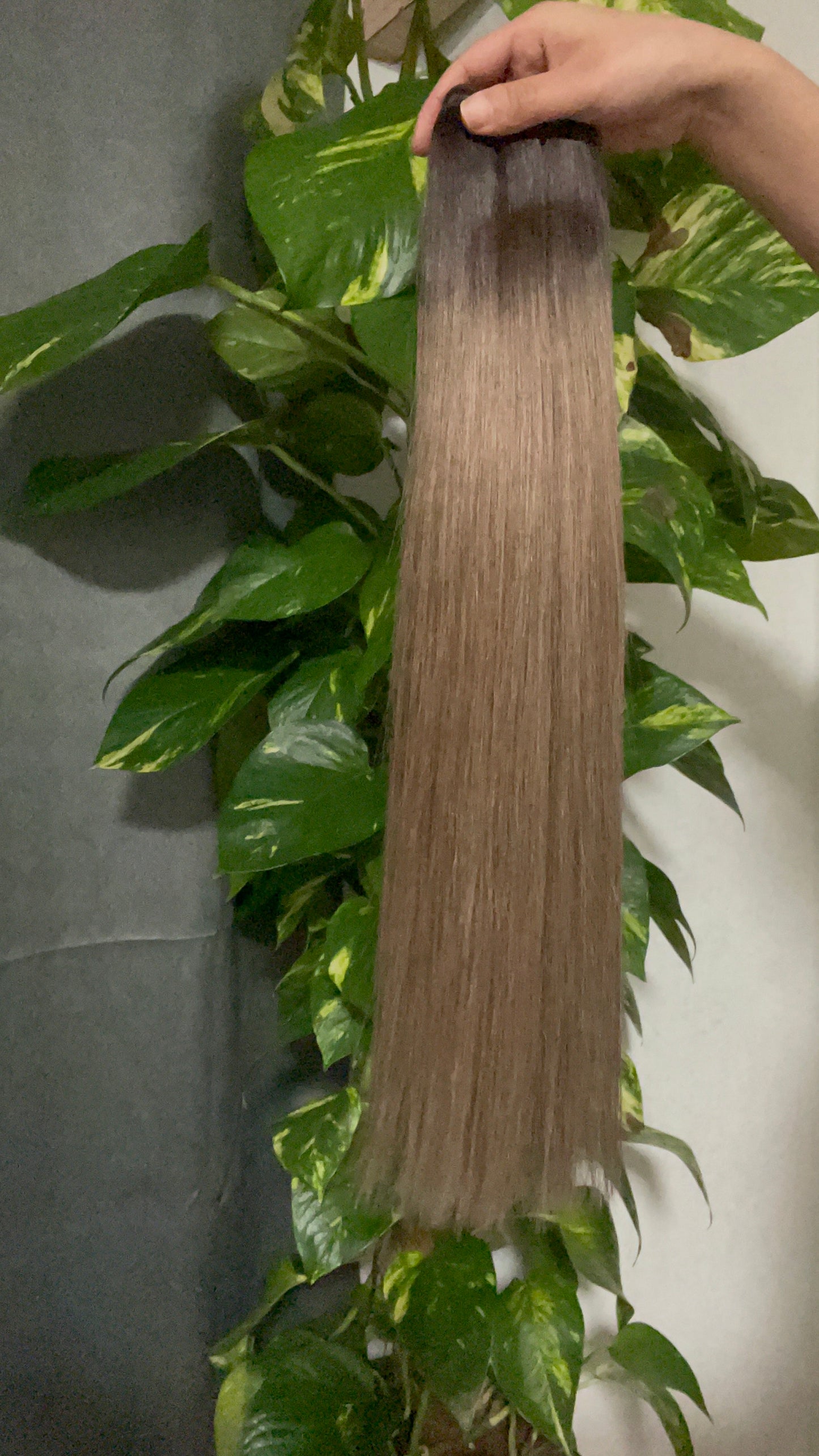 Remy Hair Extensions 100g, Color Arsch Blond, #T4/6