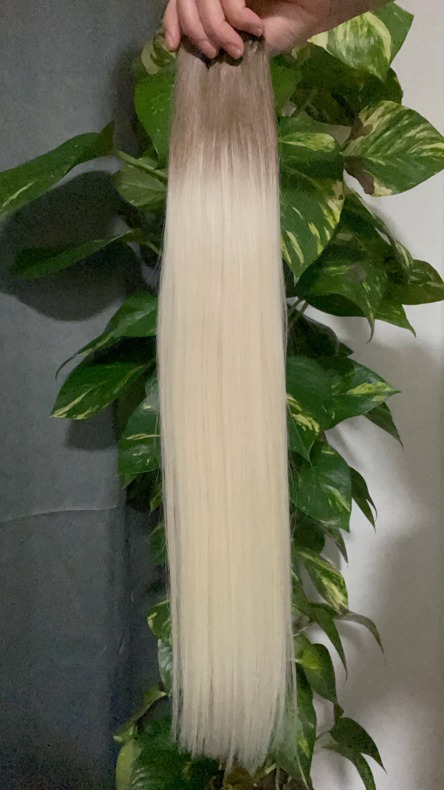 Remy Hair Extensions 100g, Color Arsch Blond, #Balayage T8/60