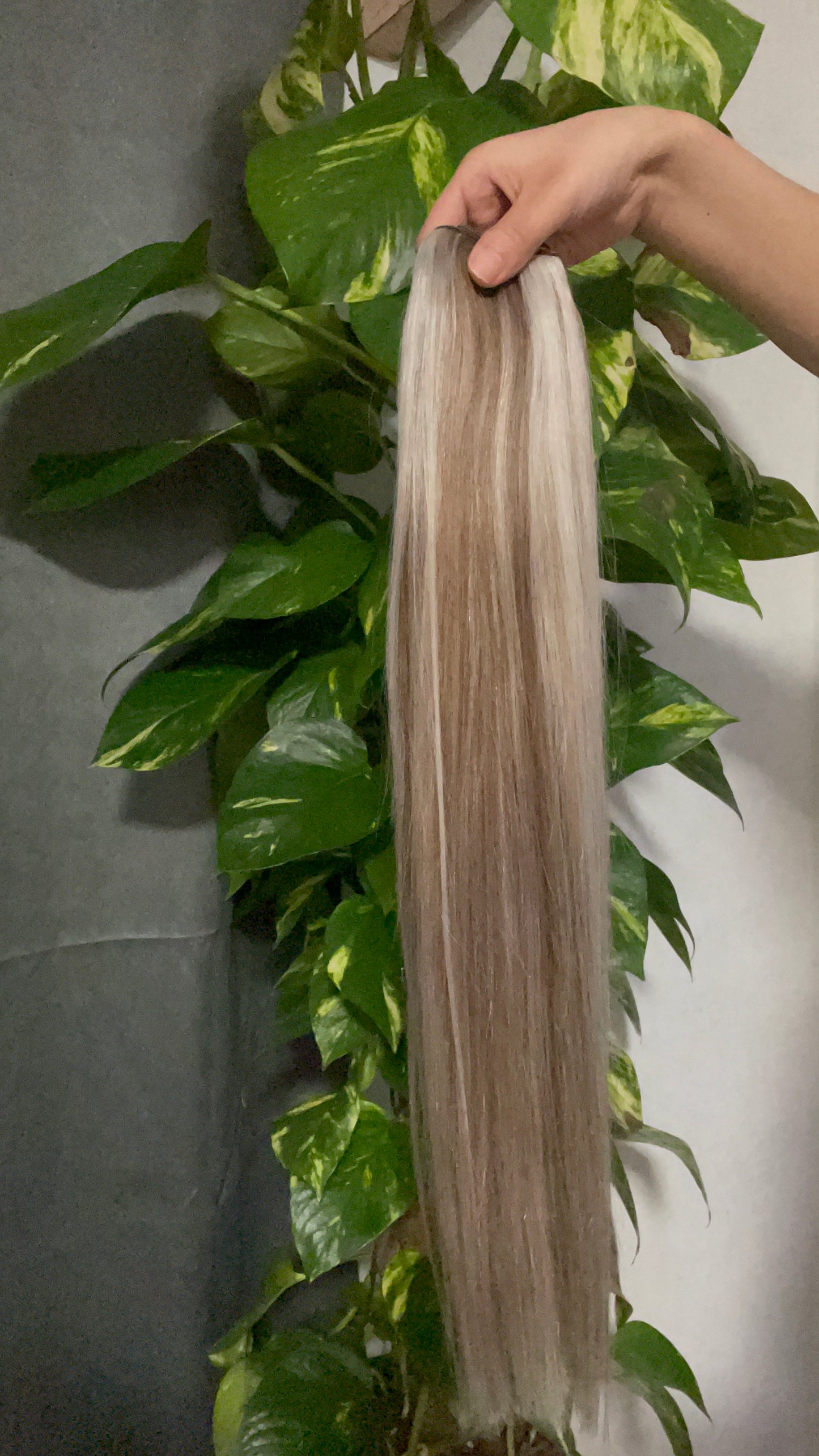 Remy Hair Extensions 100g, Color Arsch Blond, #P6/60A